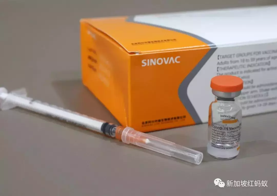 新加坡去年死于冠病者30%已打疫苗 其中接種科興的死亡率最高