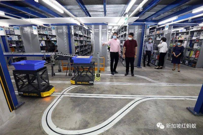 最新調查：新加坡商家近七成能撐過今年，預計將少裁員少減薪