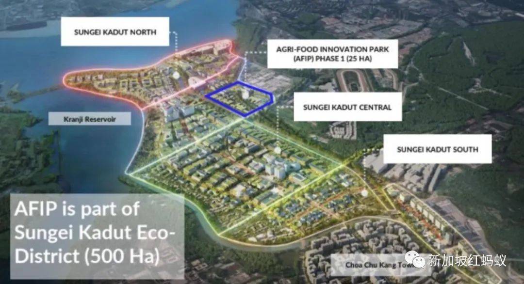 克蘭芝林地事件原來有這些內幕　裕廊集團：絕不逃避責任