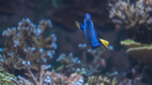 新加坡10天深度自由行，感受世界最嚴法律下的四大種族交融之地3