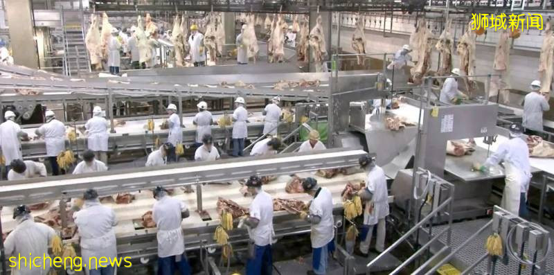 德國、美國肉類工廠確診破1000、百事中國8人確診!新加坡進口食品還安全嗎