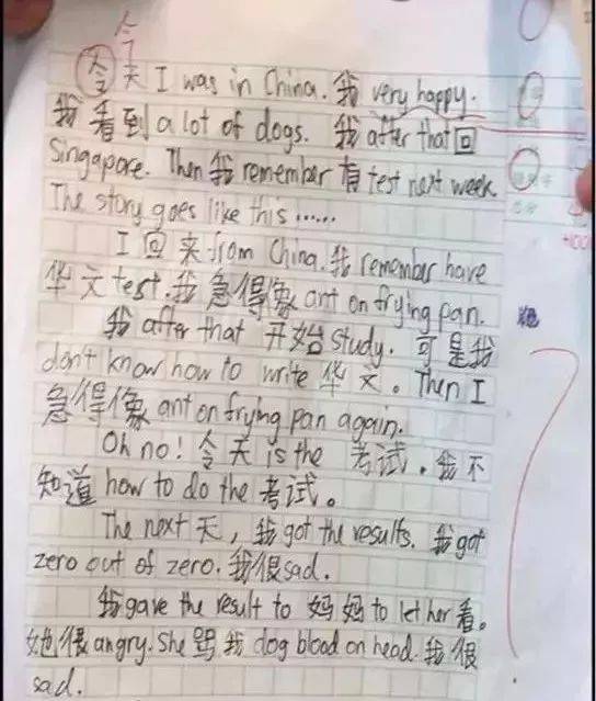 最新調查：新加坡年輕人對說華語更有信心，竟高過說英語