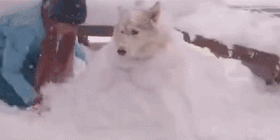 在新加坡看雪,让圣诞更有氛围