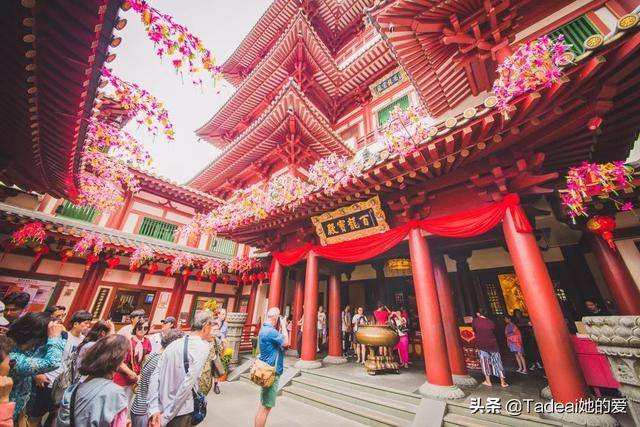 凭什么去新加坡都为它刷屏