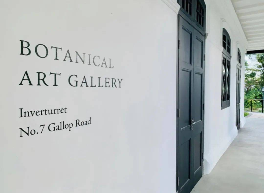 新加坡美术艺术馆大盘点,燃烧你的艺术之魂