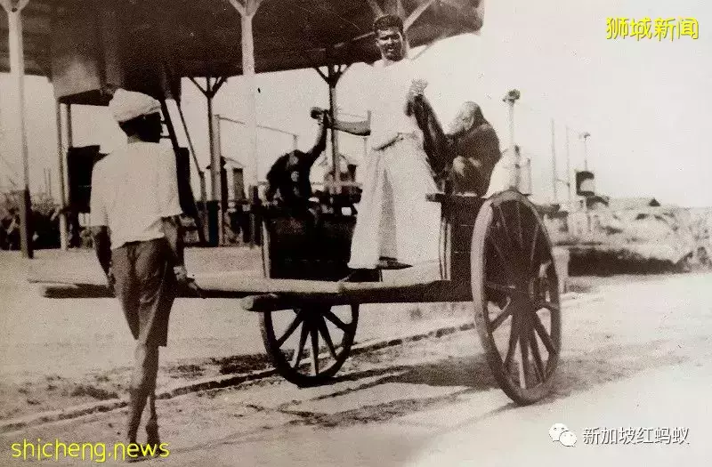 愛因斯坦竟到訪過新加坡的首個動物園,還贊說“好棒”