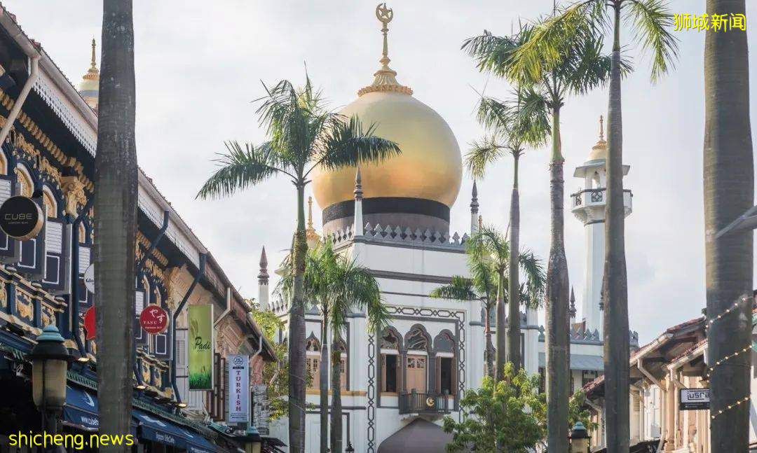 輕松遊獅城，先看這一篇