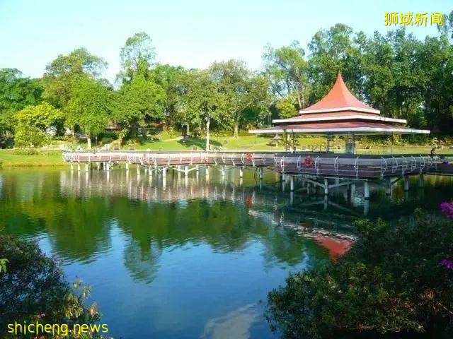 来新加坡玩刺激,一定不能错过麦里芝