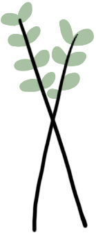 必看，事关S-AEIS考试