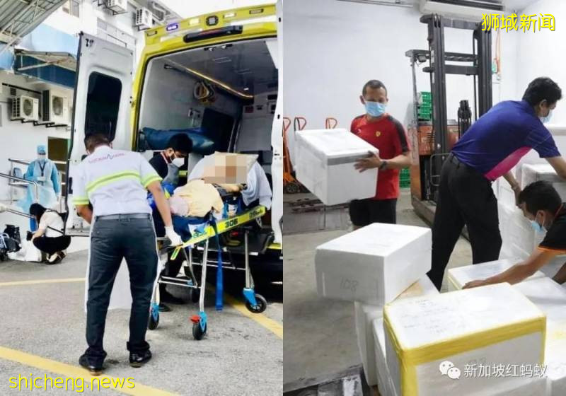 助癌末女跨国见老父、助孕妇回家　新马两地人民封锁下的暖心互动