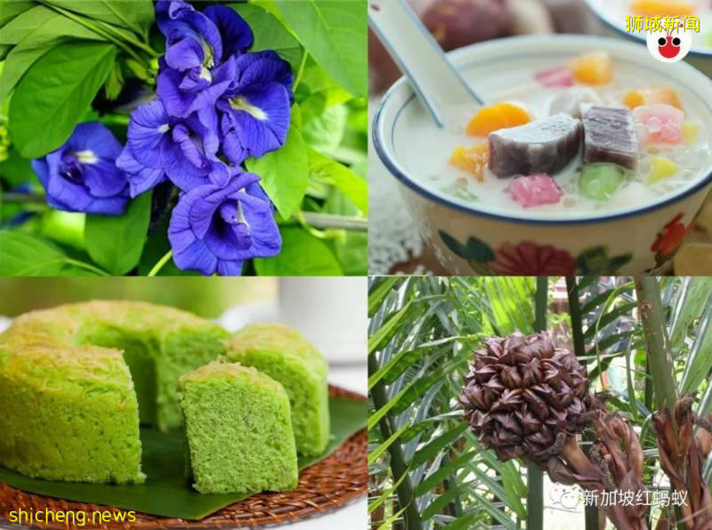 新加坡人气甜品背后的“秘密天然食材”　其实就生长在公园里