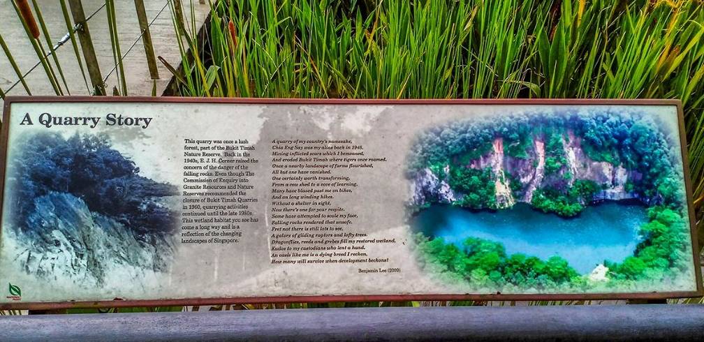 没有奶牛的奶牛公园,藏着100多年历史和700多种甲虫,新加坡宝藏公园推荐