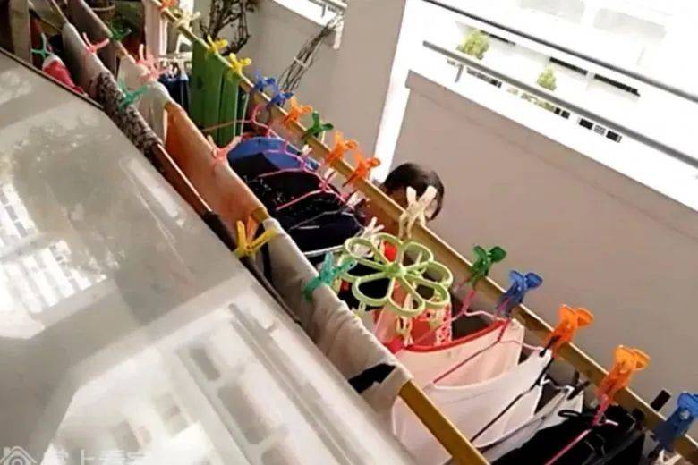 快過年了，竟有人在新加坡組屋走廊開“養雞場”，30只好熱鬧