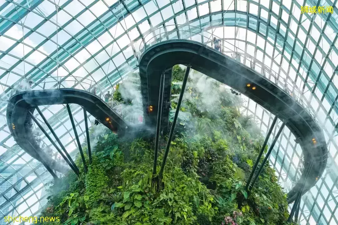 新加坡研究生報名4月截止!NUS&NTC共23學科名列全球前十