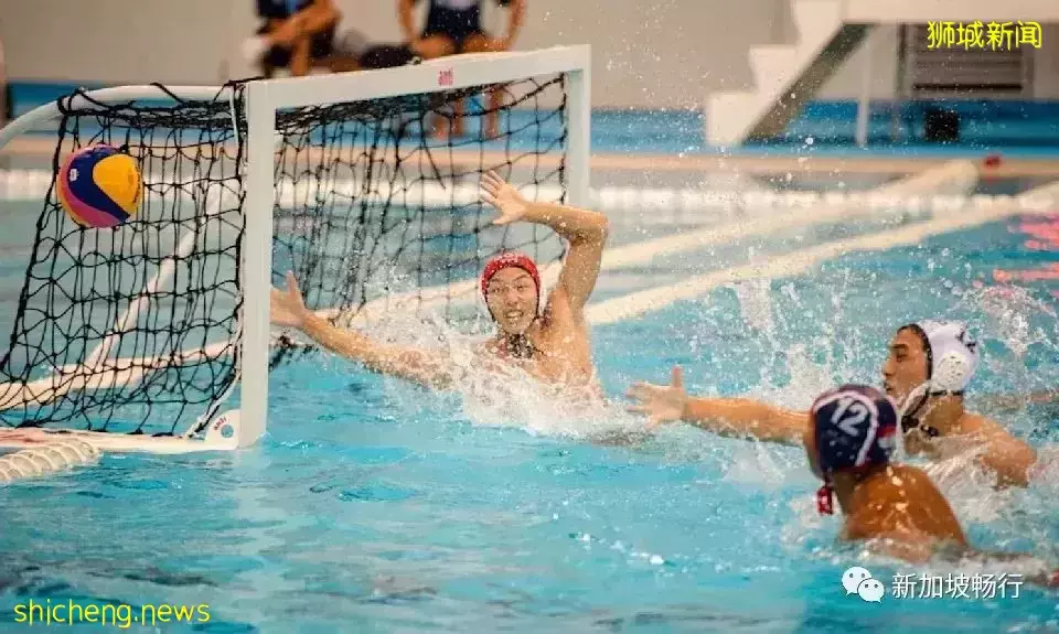 新加坡在水球国际杯上争夺两个冠军