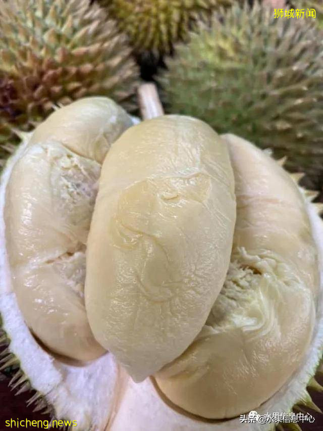 超火爆的榴梿主题餐厅,榴梿控挚爱的party怎能错过