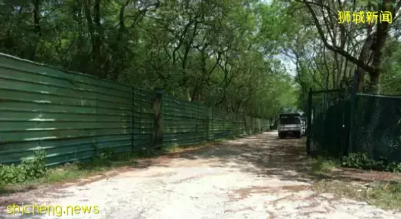 19岁新加坡女生失踪13年！谋杀弃尸者被抓，却不能定罪