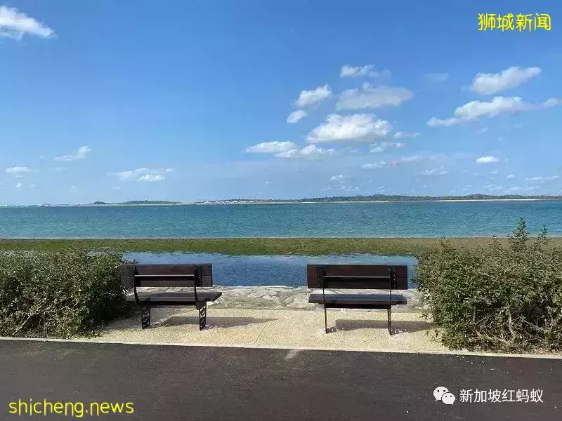 【圖文】這段18公裏沿海路線美爆了! 左看右看都不像在新加坡