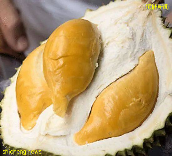 榴梿季到!泰國和馬來西亞的榴梿誰家的最好吃