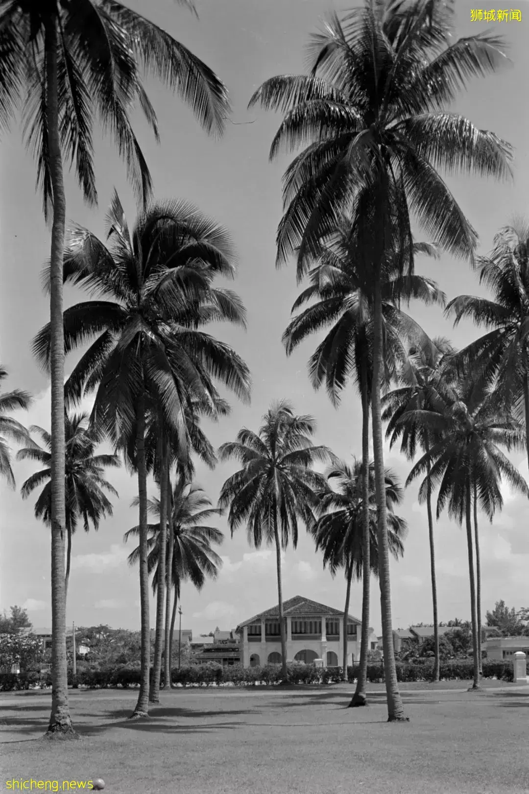 活得不像住在新加坡!新加坡东海岸居住环境的优势