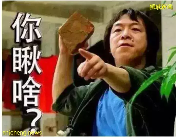 新加坡也刮“中国东北”风：你瞅啥？瞅你咋地！干就...真完了