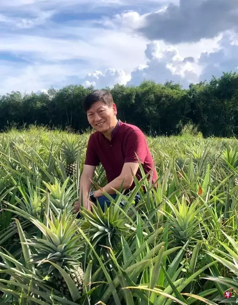 爱马仕开发了蘑菇皮革包，东南亚业者则让这些厨余穿上身