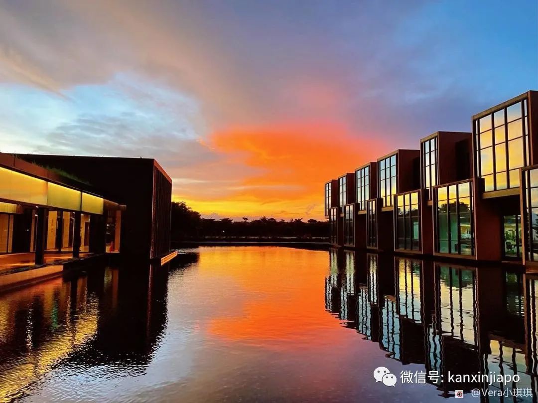 昨天傍晚新加坡出现粉色天空,大波美图刷遍全网