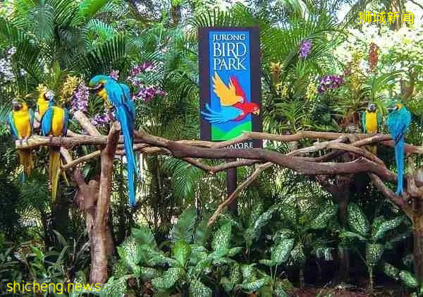 35個最受歡迎新加坡好去處