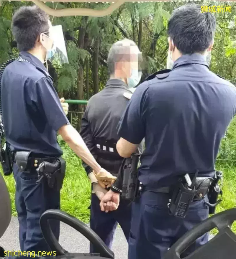 无罩男子非法割取香兰叶遭阻止　猛捅安全距离大使判监13年4个月