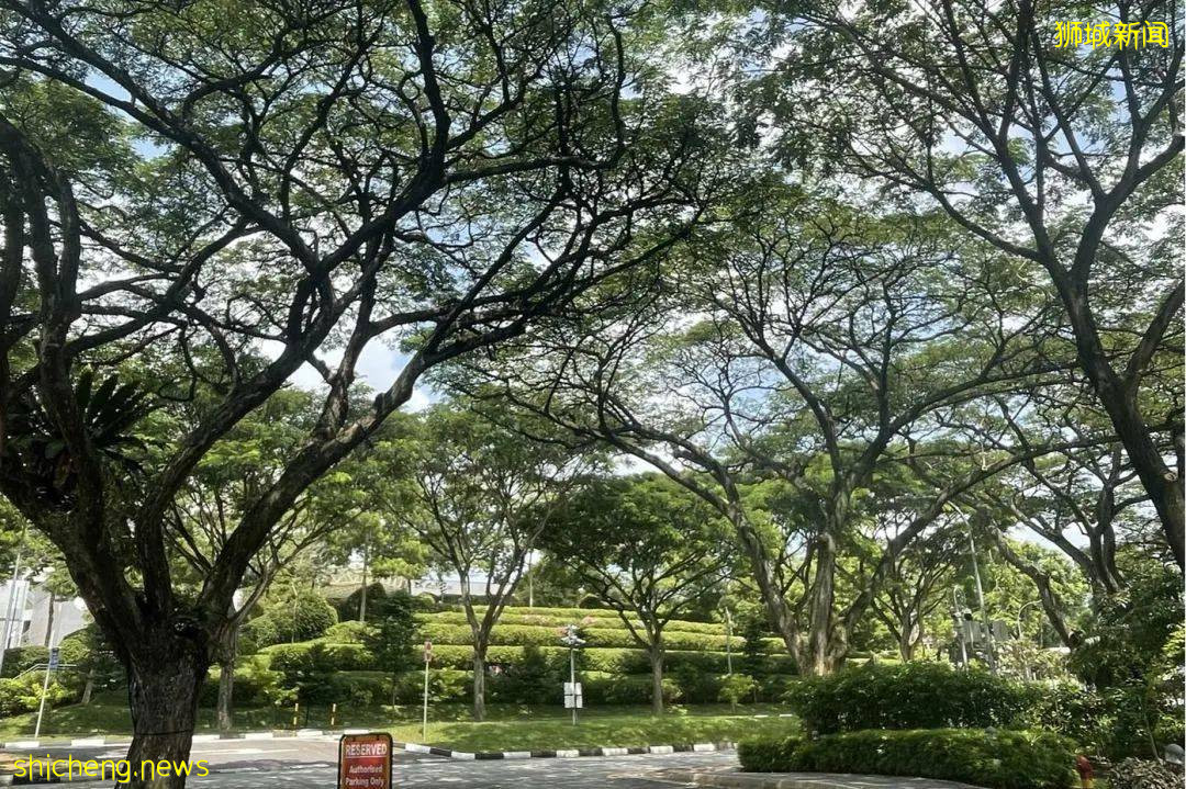 NUS校園初印象 .