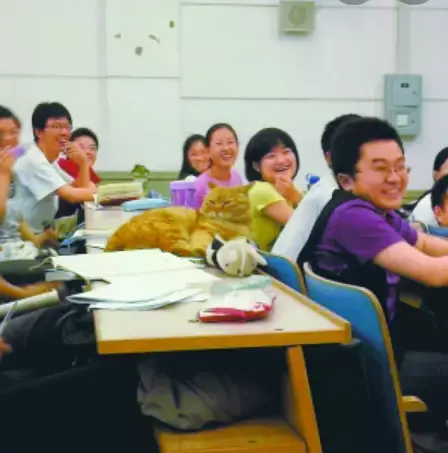 你見過熱戀中的水獺嗎