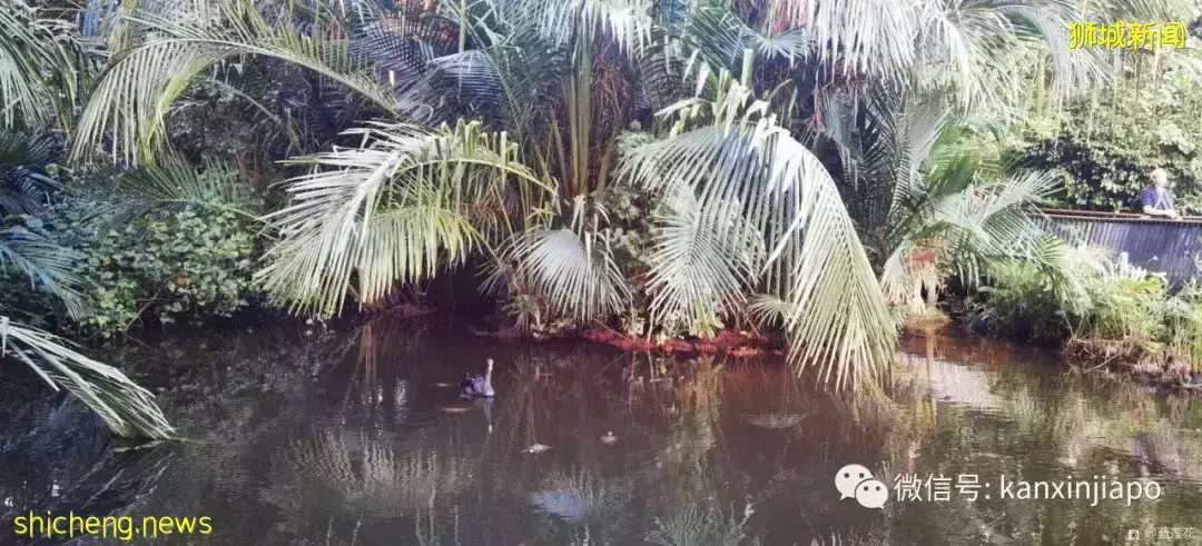 快来免费打卡新加坡这个世界文化遗产