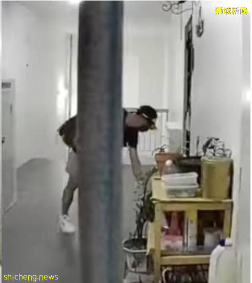 疫情下新加坡还有人冒死偷鞋?网友:口味这么重,喜欢原味儿