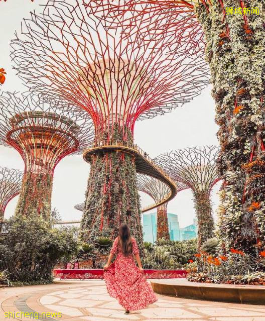 玩在獅城 盤點全島這15個免費景點，讓你玩的省錢又開心