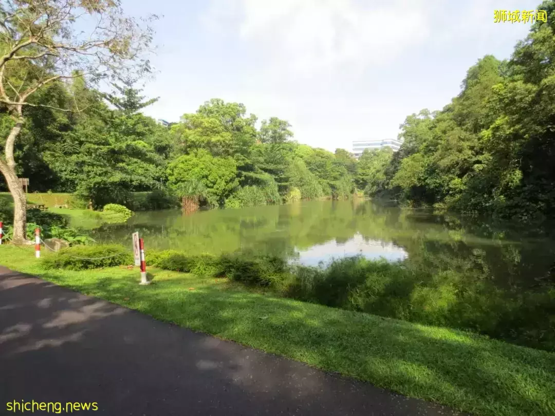 新加坡南部要建新公园,占地200公顷!这些地方太美了打卡必去