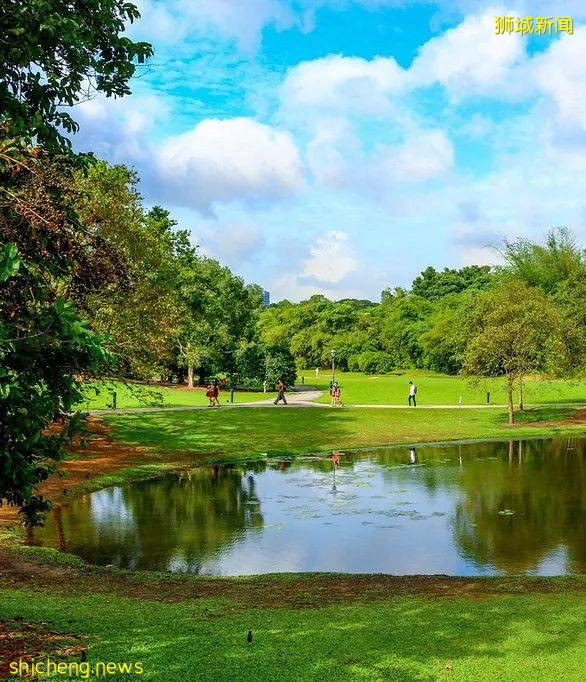 【鳥瞰新加坡】花園城市 5個最美的新加坡公園