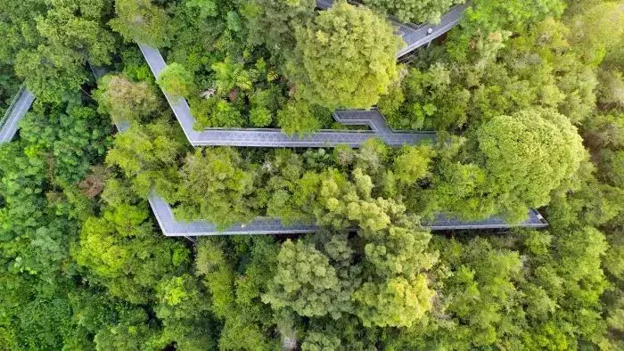 總是名列前茅的新加坡國際學校優勢在哪裏