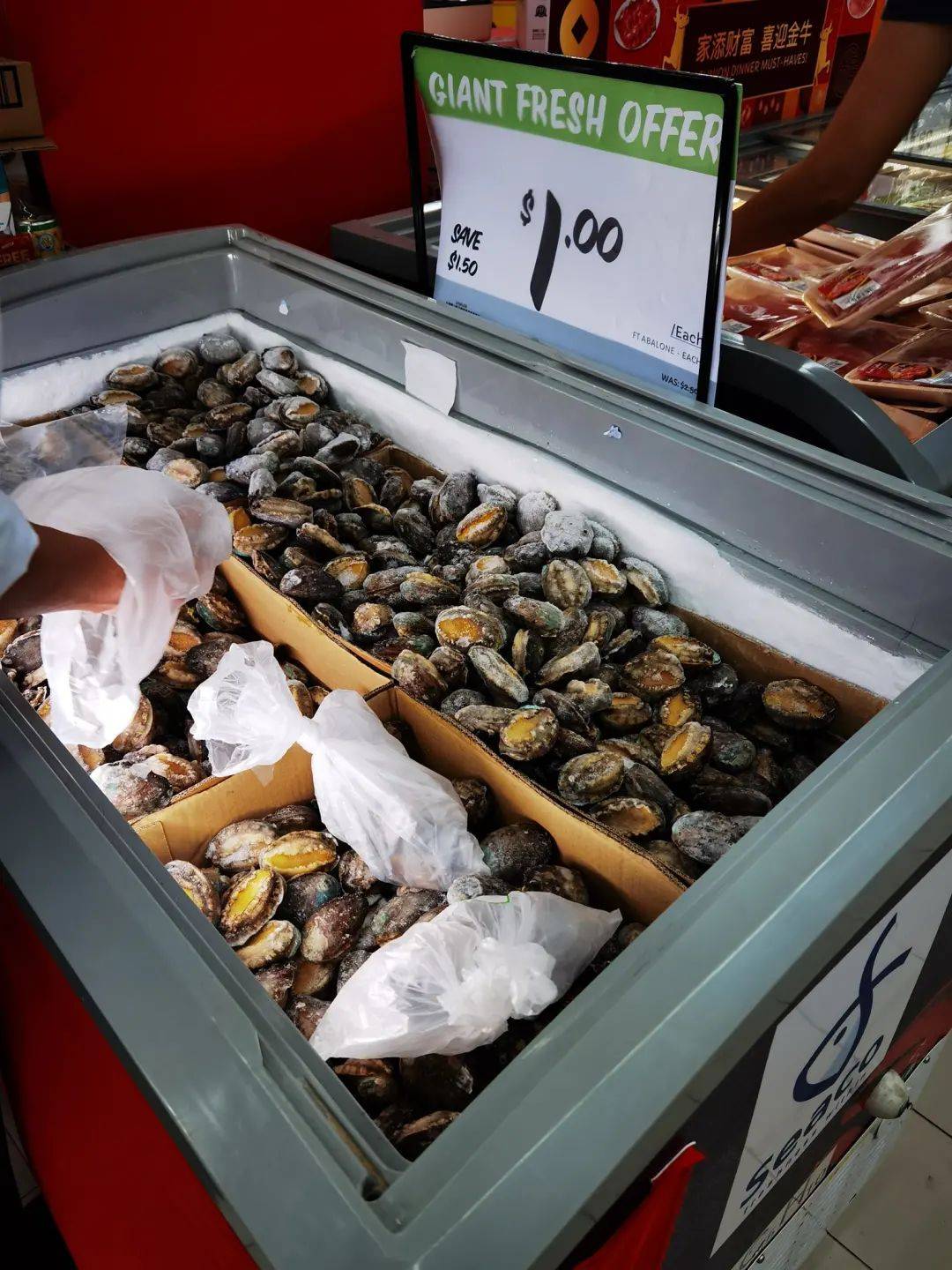 新加坡史上最便宜鲍鱼？一块新币一只！Giant超市里卖！手慢无