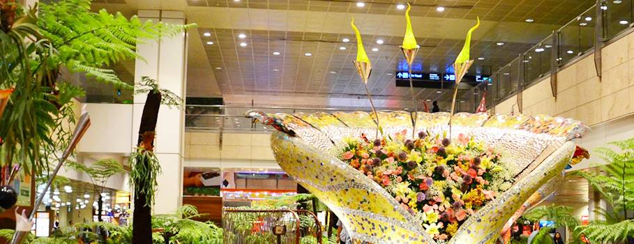 樟宜機場 “花園裏的機場”都有哪些花園呢