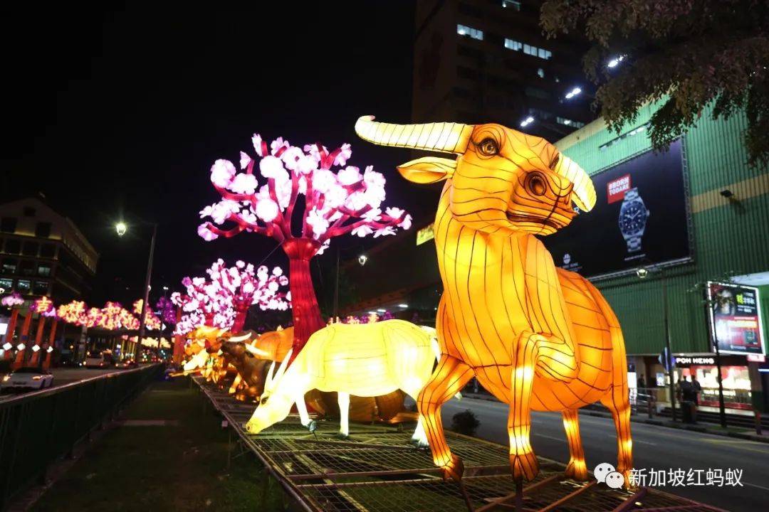 疫情下的獅城春節，和以往有什麽大不同