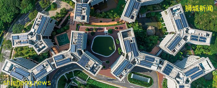 中国女生初中毕业留学新加坡！如今已是跨国集团区域经理