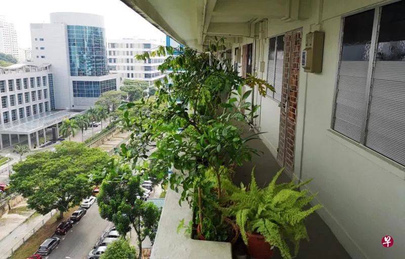 疑修剪植物失衡 78岁翁12楼坠毙