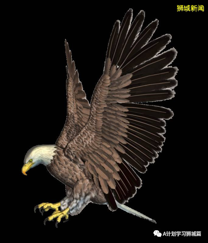 新加坡各國際學校學費彙總 （AY2020/21）