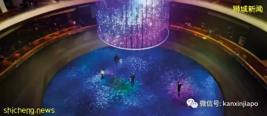 情人節約會聖地,據說脫單、求婚都能成功