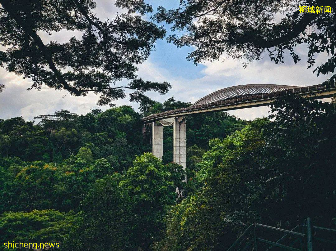 我lllllb了!原来狮城还有这些“奇葩”建筑