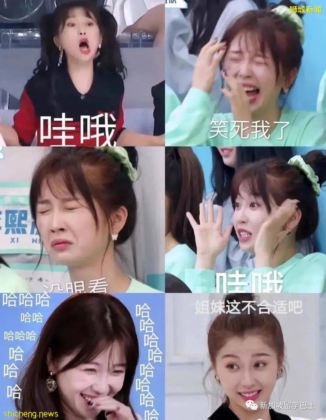 【教育】“人间作精”虞书欣竟是新加坡海归