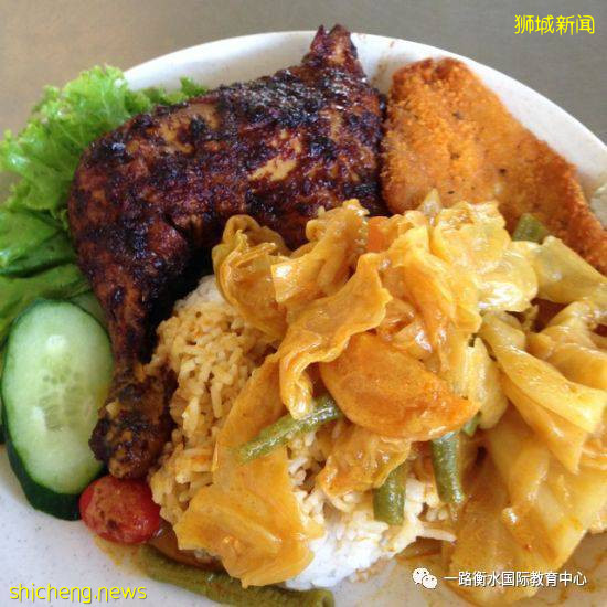 新加坡国立大学的膳食美味适您的口味吗