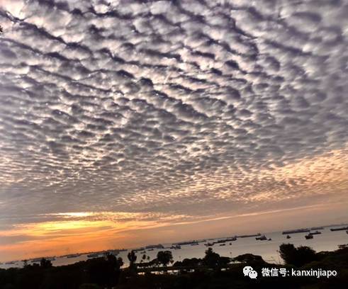 “地震雲”昨早刷爆朋友圈！很少看過這麽“怪異”的朝陽