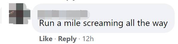 突發！這個海灘驚現一群巨型椰子蟹，還搶燒烤吃！新加坡也被鳄魚、蜥蜴、蟒蛇、水獺、猴子、野豬、野雞嚇到過