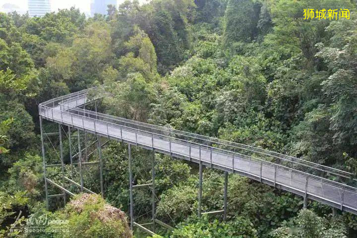 园林面积占国土的八分之一，新加坡是怎样成为“花园城市”的